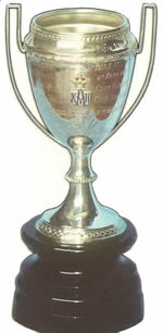 Copa del Rey Alfonso XIII